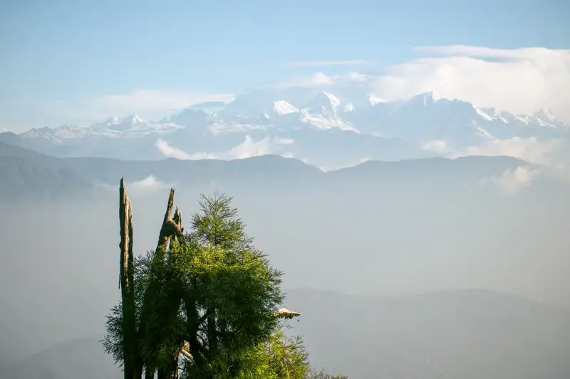 Snow-capped Kanchenjunga range above misty green hills, seen from Darjeeling
