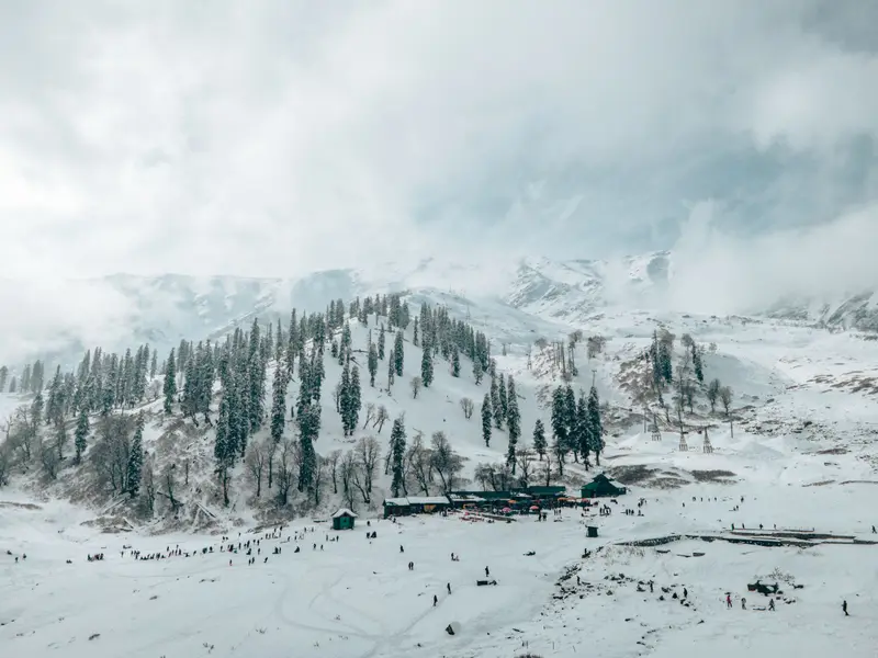 Aerial view of pine trees on snow-covered hills at Gulmarg