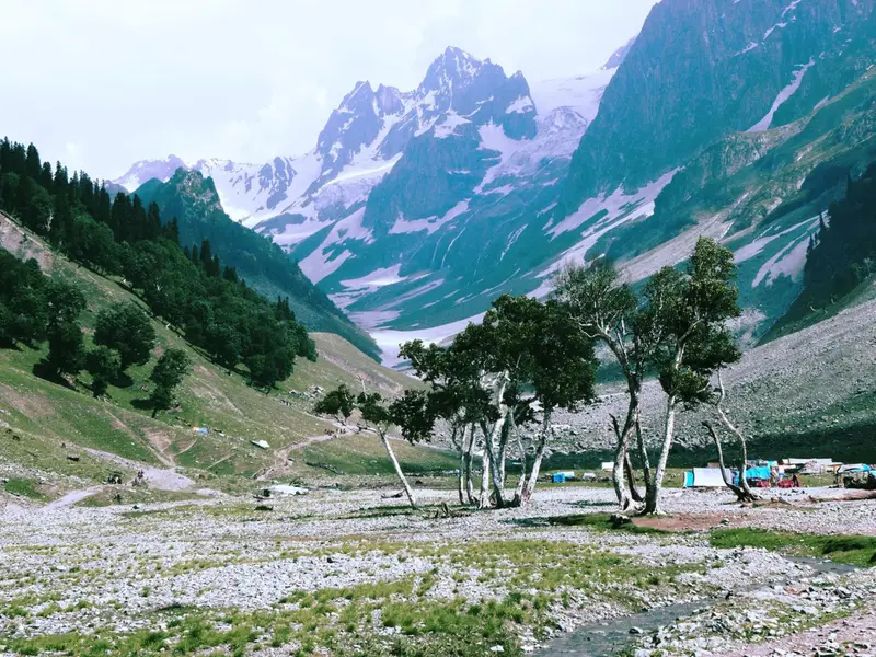 Snow-streaked peaks above pine forest and a riverside camp in Sonamarg, Kashmir