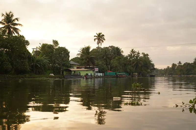 Palm-lined Alappuzha backwaters in Kerala at sunset