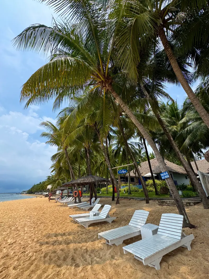 Palm trees and sun loungers on a beach in Phu Quoc, Vietnam